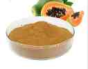 PAPAYA EXTRACT POWDER