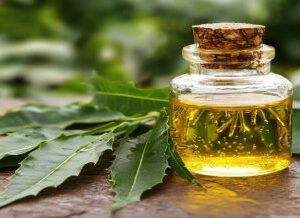 EUCALYPTUS OIL