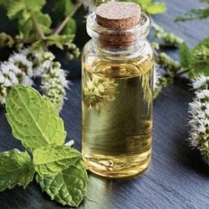 PEPPERMINT OIL